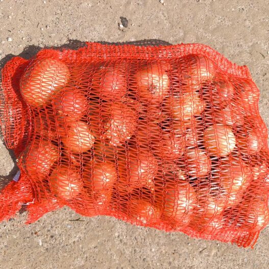 zsákos vöröshagyma